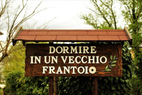 Гостиница Dormire in un vecchio frantoio  Гуалдо Тадино